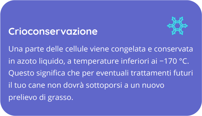 opzione crioconservazione