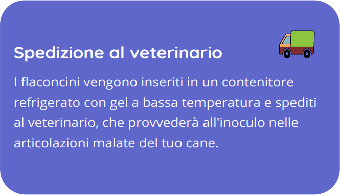 opzione veterinario